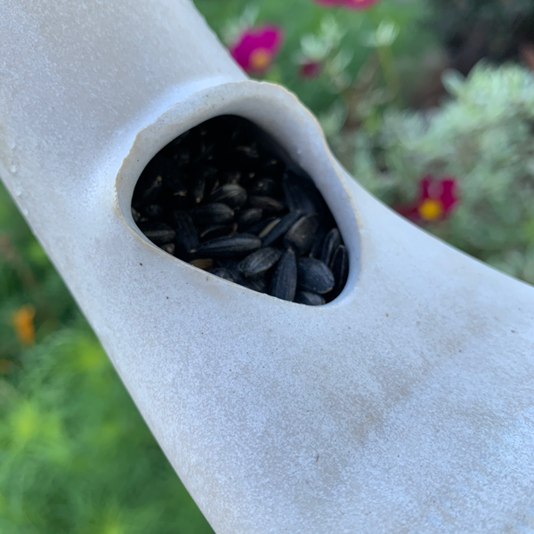 Bird Feeder