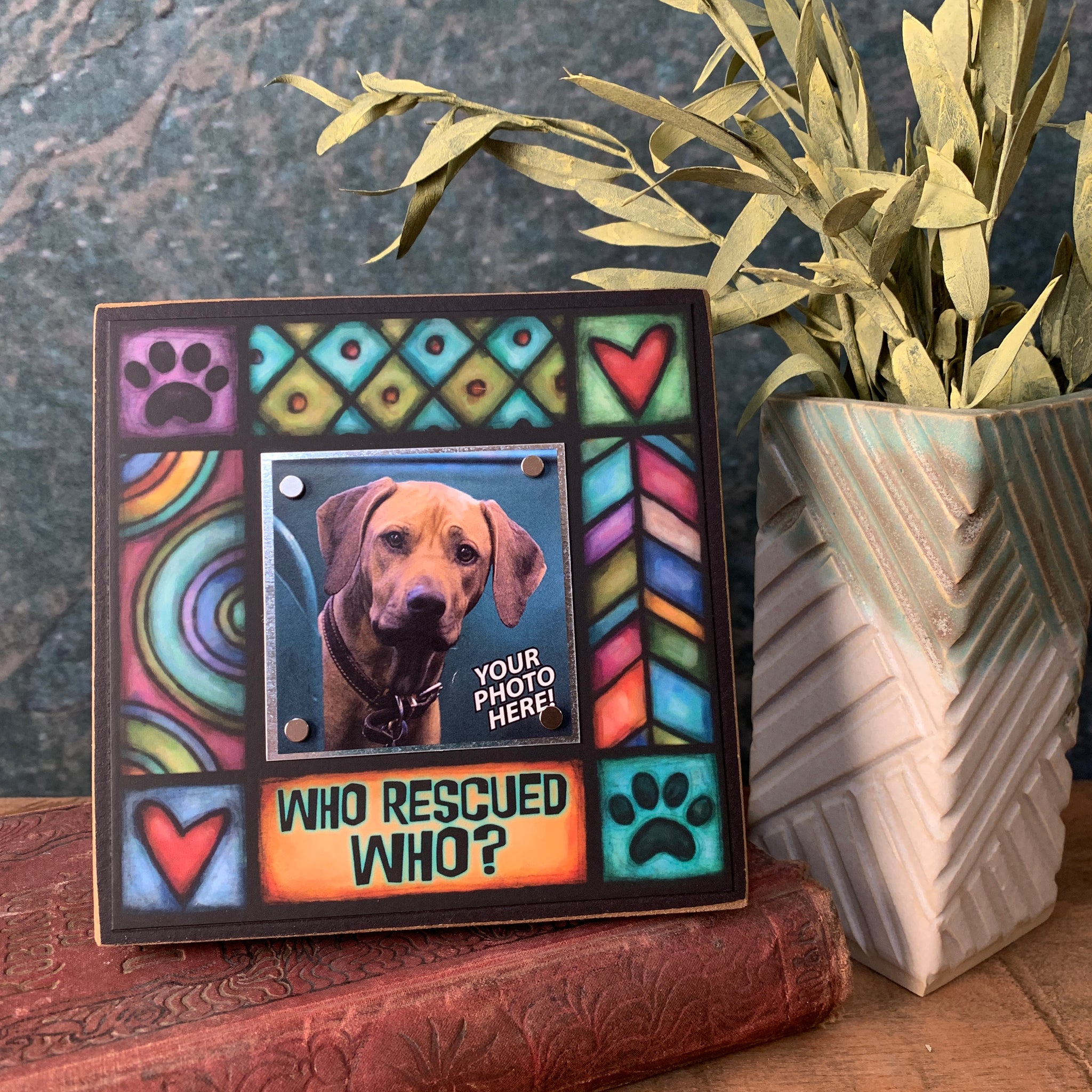 Michael Macone Frame - Rescued